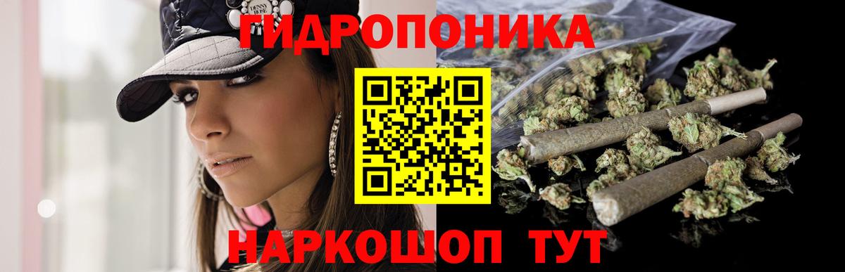 Чистополь  Конопля план  Вход с VPN  Бошки марихуана гибрид 